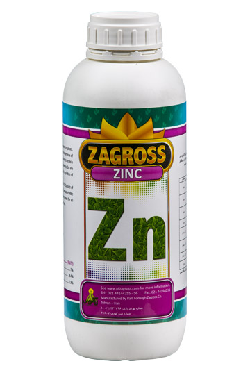 Zinc Zagross